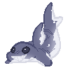 Plush (Shark)